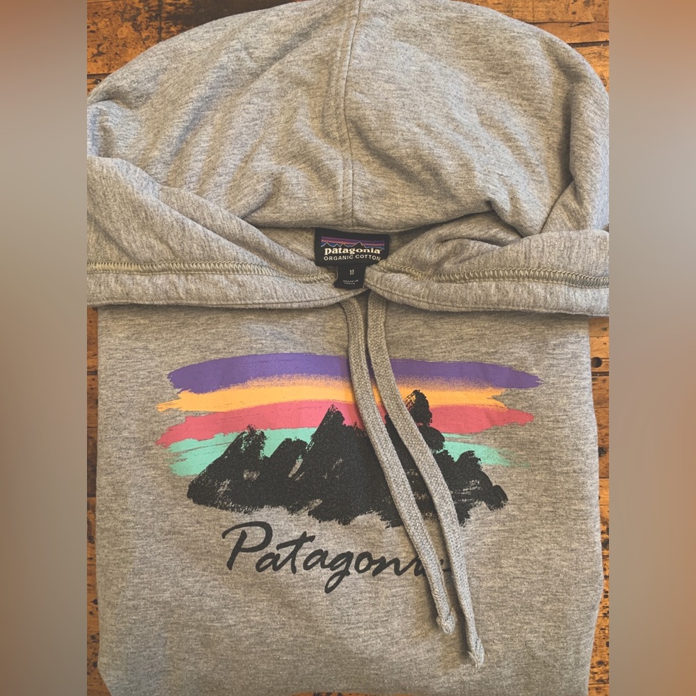 Patagonia Grey Fitz Roy Mountain Scene Graphic Hoodie